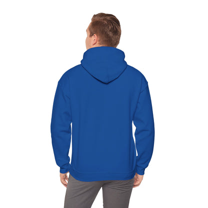 A person wearing a royal blue hoodie is pictured from the back, standing against a white background.